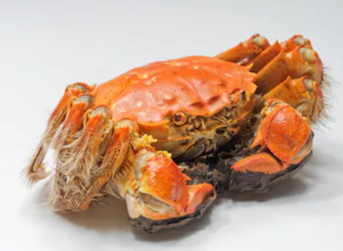 螃蟹|螃蟹同水果一起吃，等于吃砒霜？秋日健康吃蟹大解秘