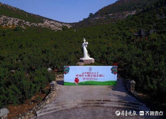 长假到枣庄看石榴必到万福园!几百岁的老树有很多_腾讯新闻