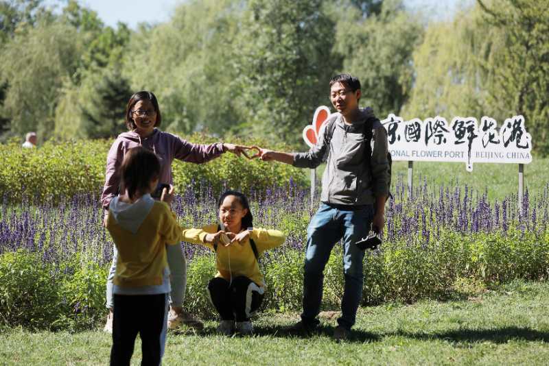 北京国际鲜花港|2.8万游客假期北京鲜花港中赏菊