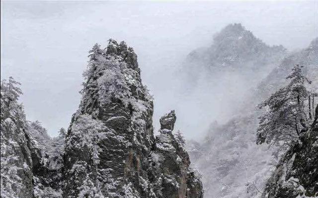 河南|也太早了点吧！河南多个景点突降大雪，网友：真是“美丽冻人”啊