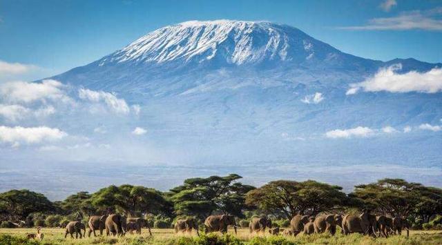 河南|也太早了点吧！河南多个景点突降大雪，网友：真是“美丽冻人”啊