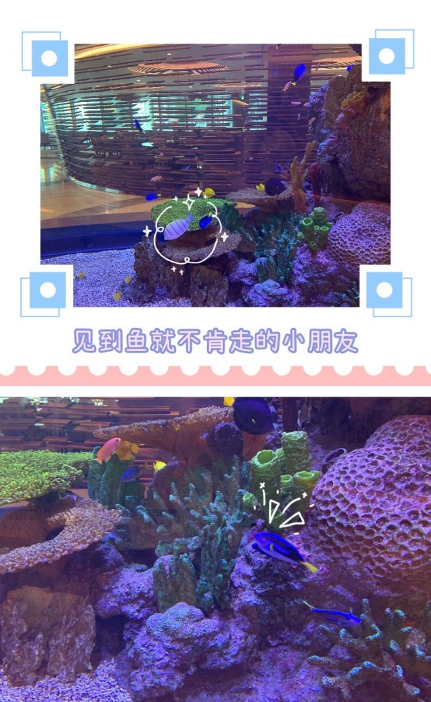 方媛|方媛晒老公视角公主照，透露孩子开学后要开始当全职妈妈，持家带娃两不误