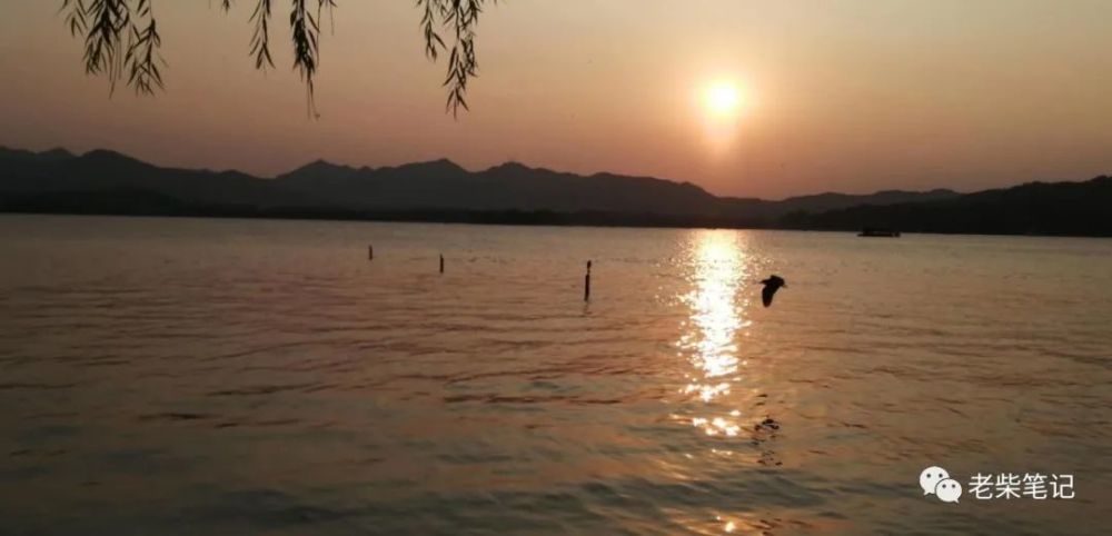 卓文君|赏月赏诗赏美女：不会喝酒，还能叫诗人吗？