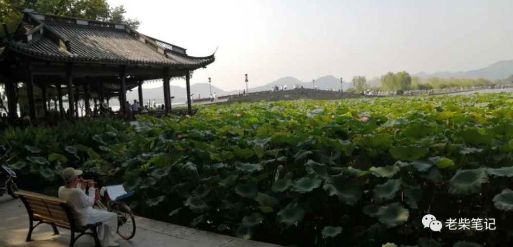 卓文君|赏月赏诗赏美女：不会喝酒，还能叫诗人吗？