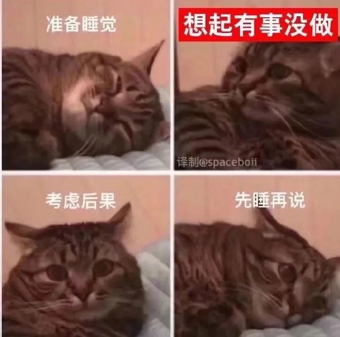 陈伟霆|陈伟霆公布臀围，被赞“男版卡戴珊”