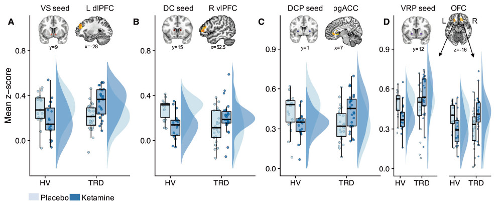 纹状体|氯胺酮调节大脑额叶纹状体回路