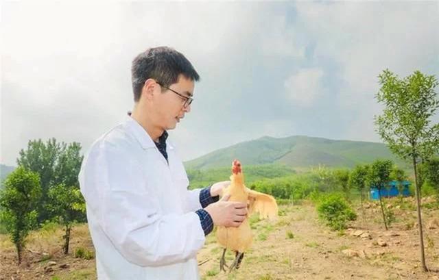 农村|放弃80万年薪，携妻回农村养羊的清华学子景奇，如今怎样了？