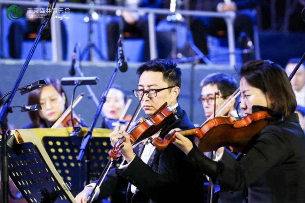 音乐会|合唱一曲欢乐颂，人间最美是清秋！2020南京森林音乐会完美收官！