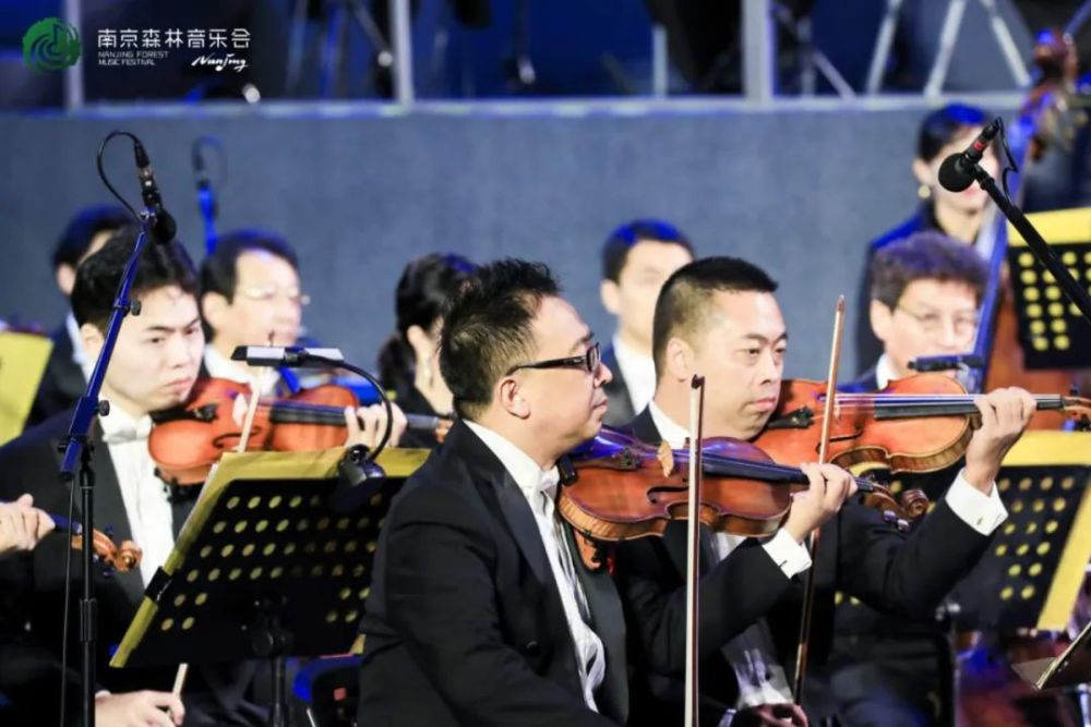 音乐会|合唱一曲欢乐颂，人间最美是清秋！2020南京森林音乐会完美收官！