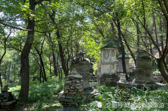 北京|北京旅游有个九洞十二峰景点，史称幽燕奥室，珍木奇花遍布！