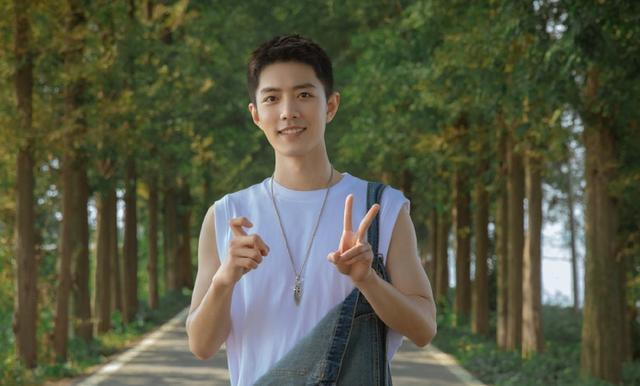 肖战|肖战29岁生日发文，被人调侃是提线木偶，他能否做真正自己？