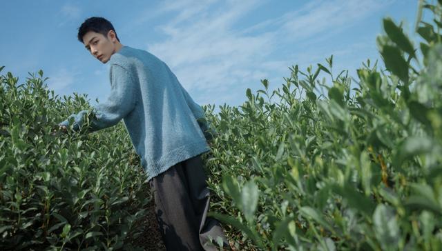 肖战|肖战29岁生日发文，被人调侃是提线木偶，他能否做真正自己？