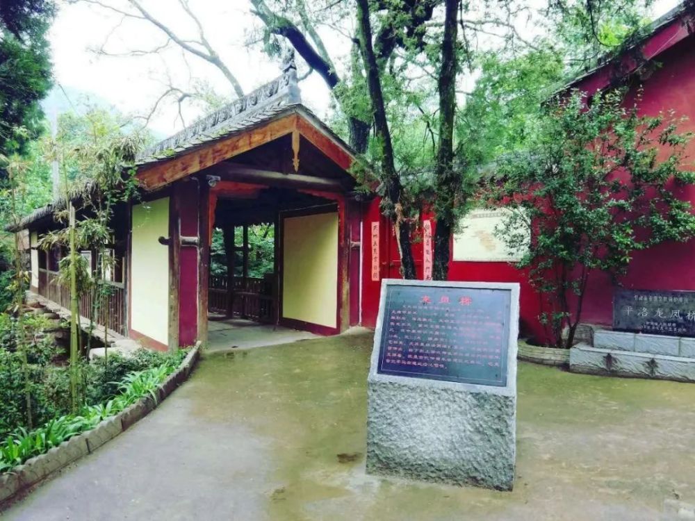 茶马古道|永不沉寂的茶马古道