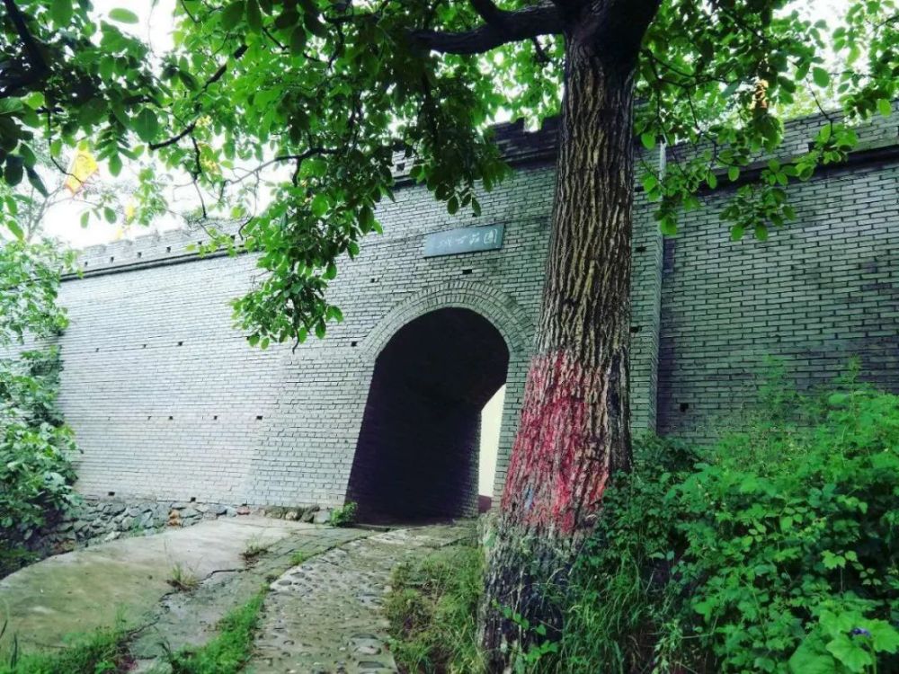 茶马古道|永不沉寂的茶马古道