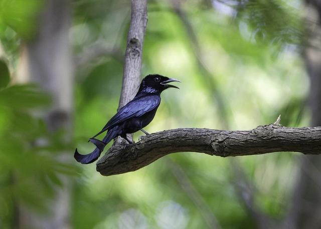 北京|除北京南京外，我国还有座名字带京的城市，因生态好被称为“绿宝石”