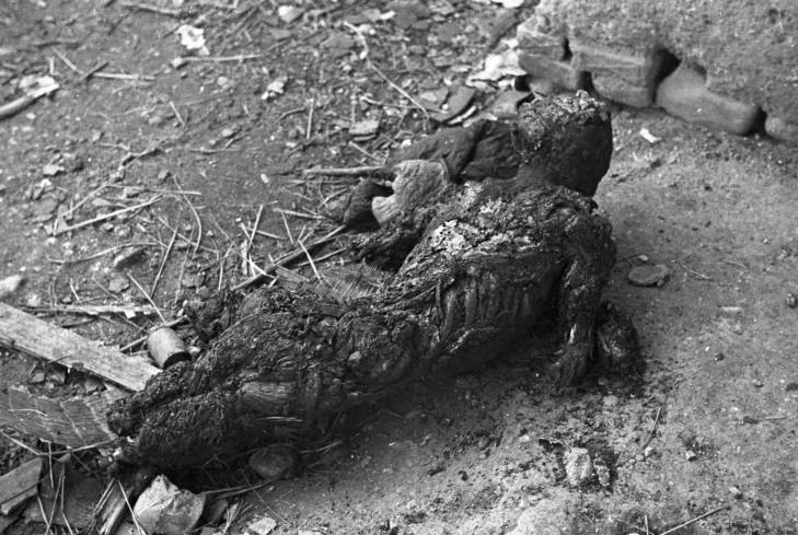 战火中被烧毁的人体,真的是惨不忍睹.