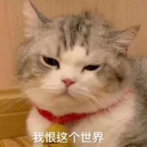 余晚晚|同样叫晚晚，一个费尽心机换来众人嘲，她却让人酸得心服口服