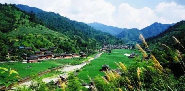 【每日益读】官场微小说《养猪》|饲料|河湾镇|养猪|张桂花