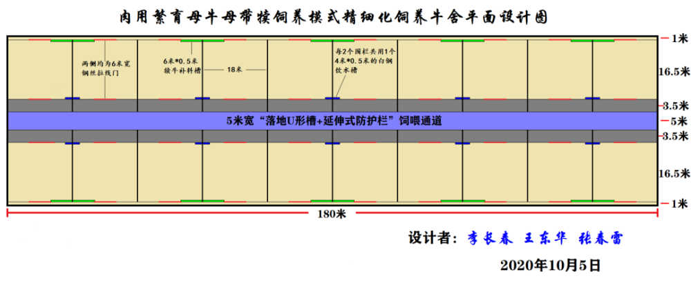 肉用繁育母牛母带犊模式牛舍平面设计图