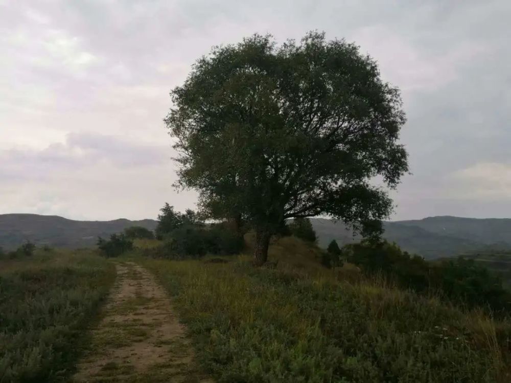 横渠|横渠湾 一一写在张载诞辰千年