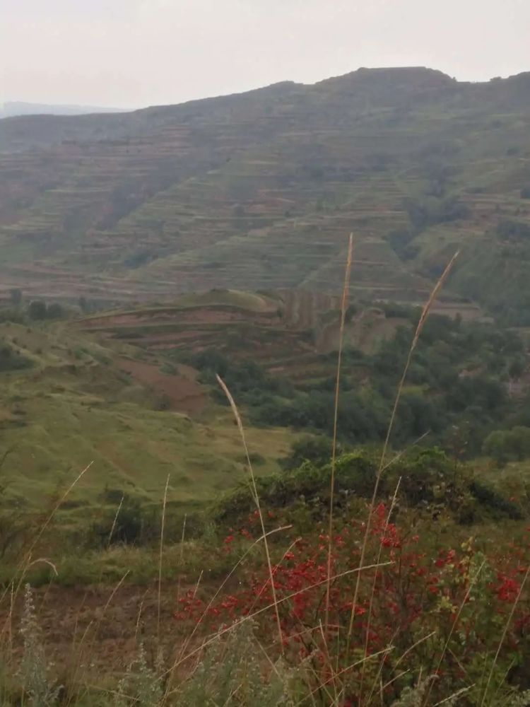 横渠|横渠湾 一一写在张载诞辰千年