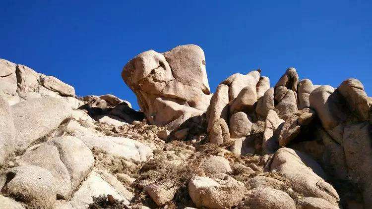 临潼县|陕西临潼鬼沟出土无头石人，经过考证，这里在秦朝发生过一件大事