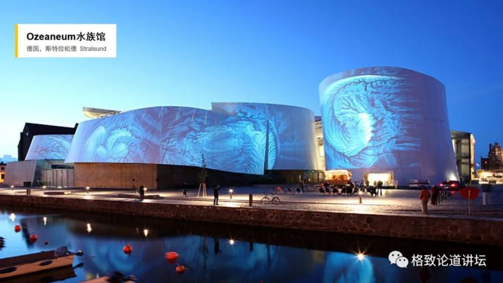 自然博物馆|这条不太起眼的中国恐龙，却在英国博物馆火了