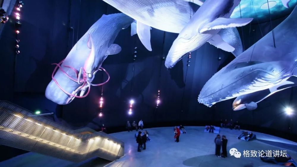 自然博物馆|这条不太起眼的中国恐龙，却在英国博物馆火了