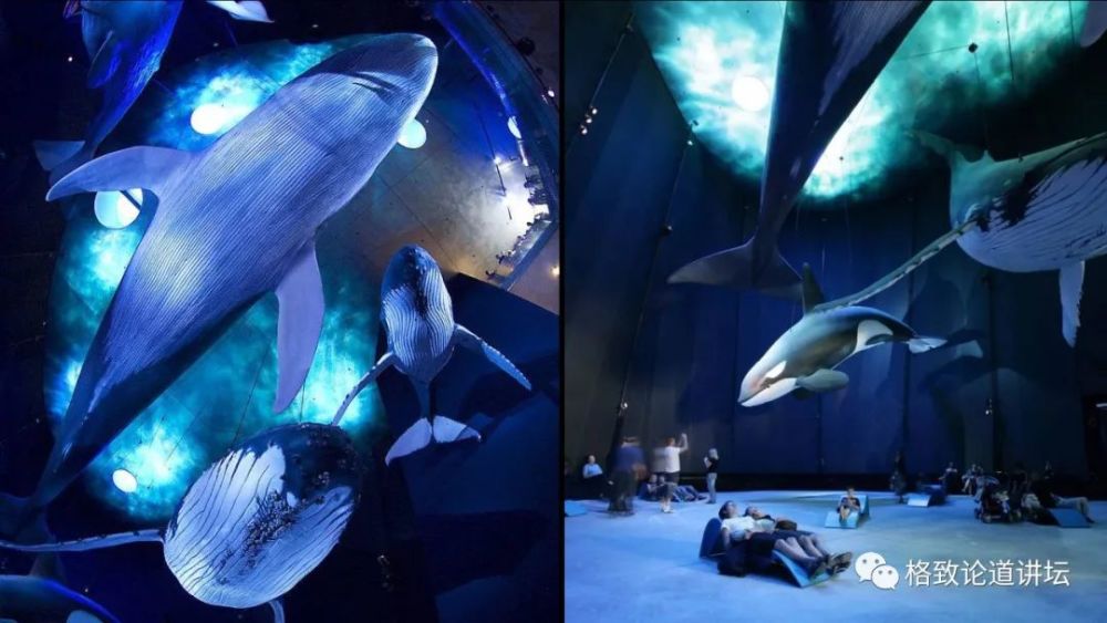 自然博物馆|这条不太起眼的中国恐龙，却在英国博物馆火了