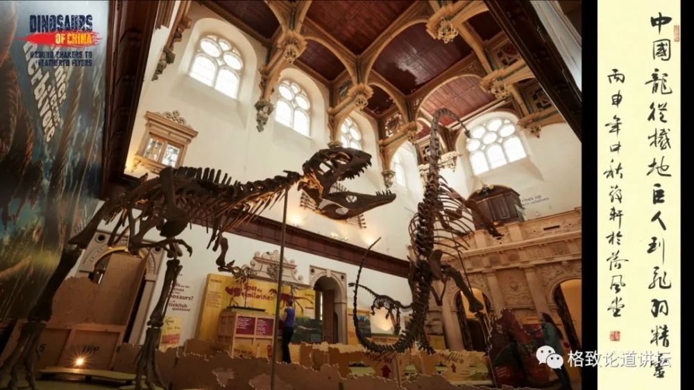 自然博物馆|这条不太起眼的中国恐龙，却在英国博物馆火了