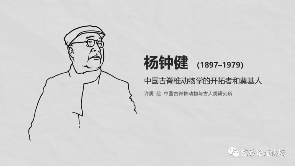 自然博物馆|这条不太起眼的中国恐龙，却在英国博物馆火了