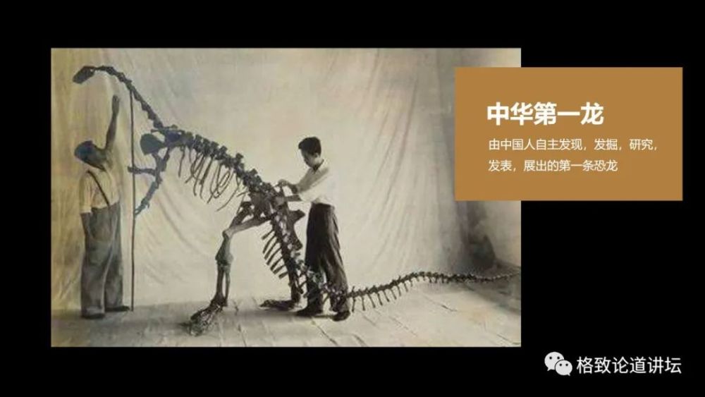 自然博物馆|这条不太起眼的中国恐龙，却在英国博物馆火了