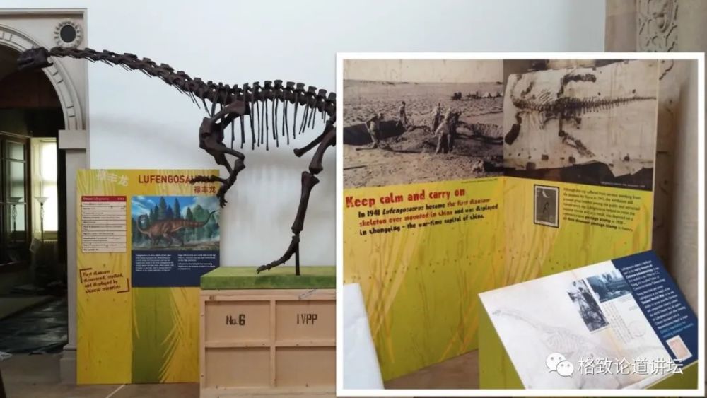 自然博物馆|这条不太起眼的中国恐龙，却在英国博物馆火了