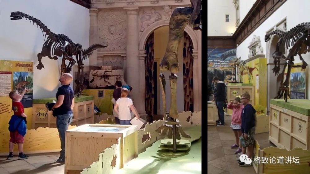 自然博物馆|这条不太起眼的中国恐龙，却在英国博物馆火了