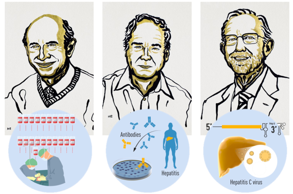 新冠病毒|为何发现丙肝病毒用了20多年，而发现新冠病毒只用了一周？