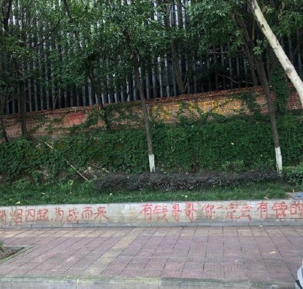 四川美术学院|肖战粉丝又惹祸！川美大学生指责其“无法无天”，并已做报警处理