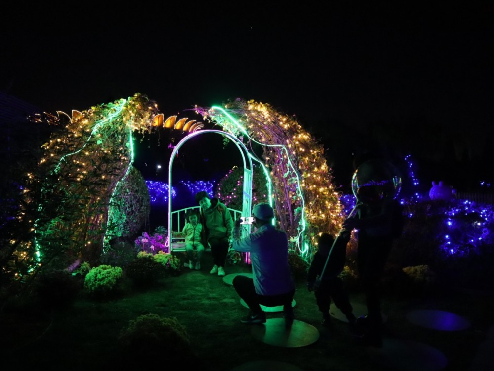 徐英波|首钢园里拍大片，国潮夜游赏花灯！假期京城这些新景点人气足