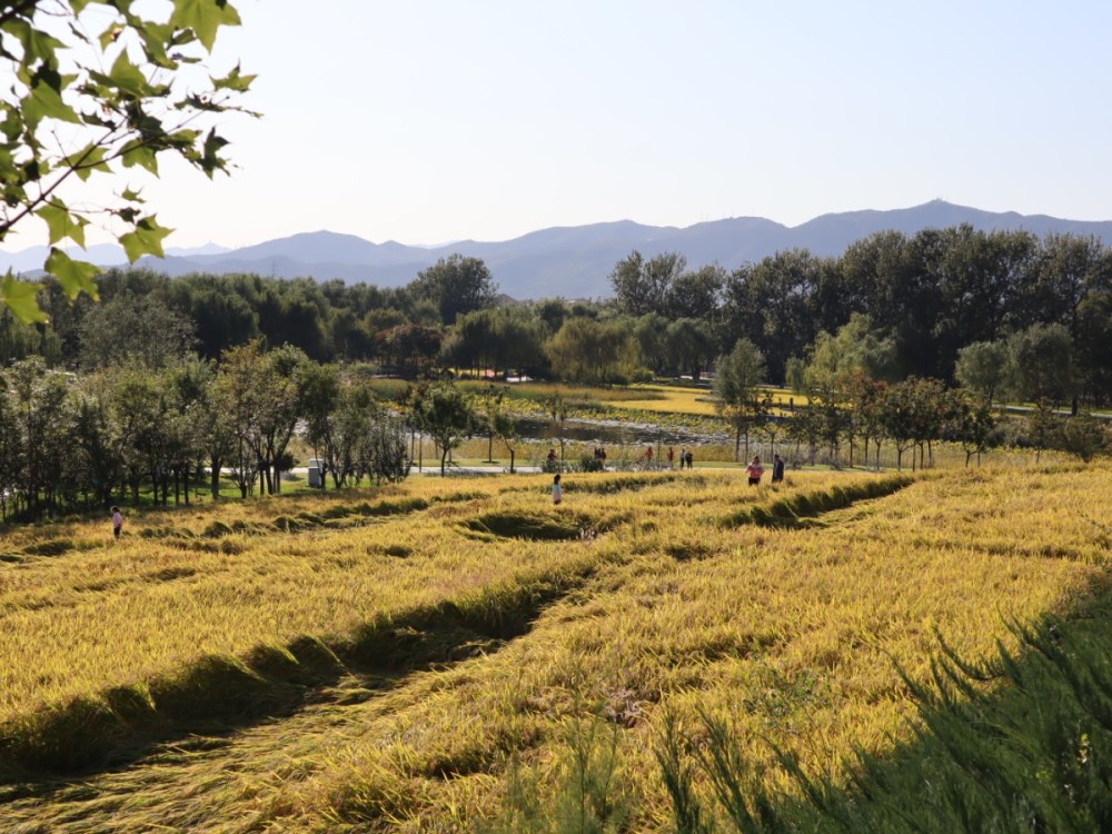 徐英波|首钢园里拍大片，国潮夜游赏花灯！假期京城这些新景点人气足