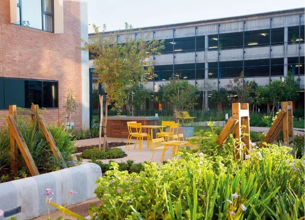 面对公共健康危机,康复景观的价值与挑战_腾讯新闻