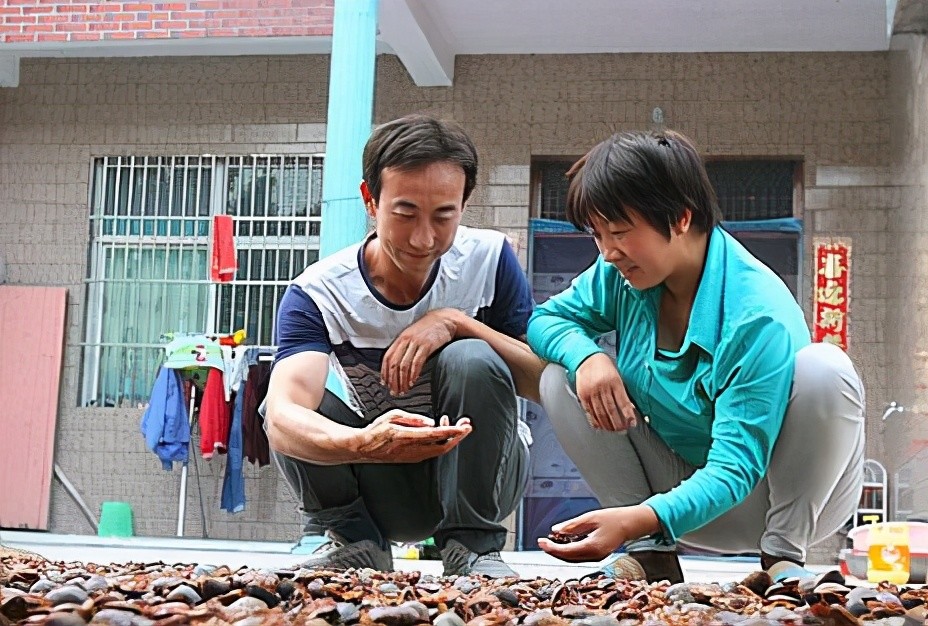 故事:杀猪匠人生的大起大落,杀猪起家,因赌背井离乡