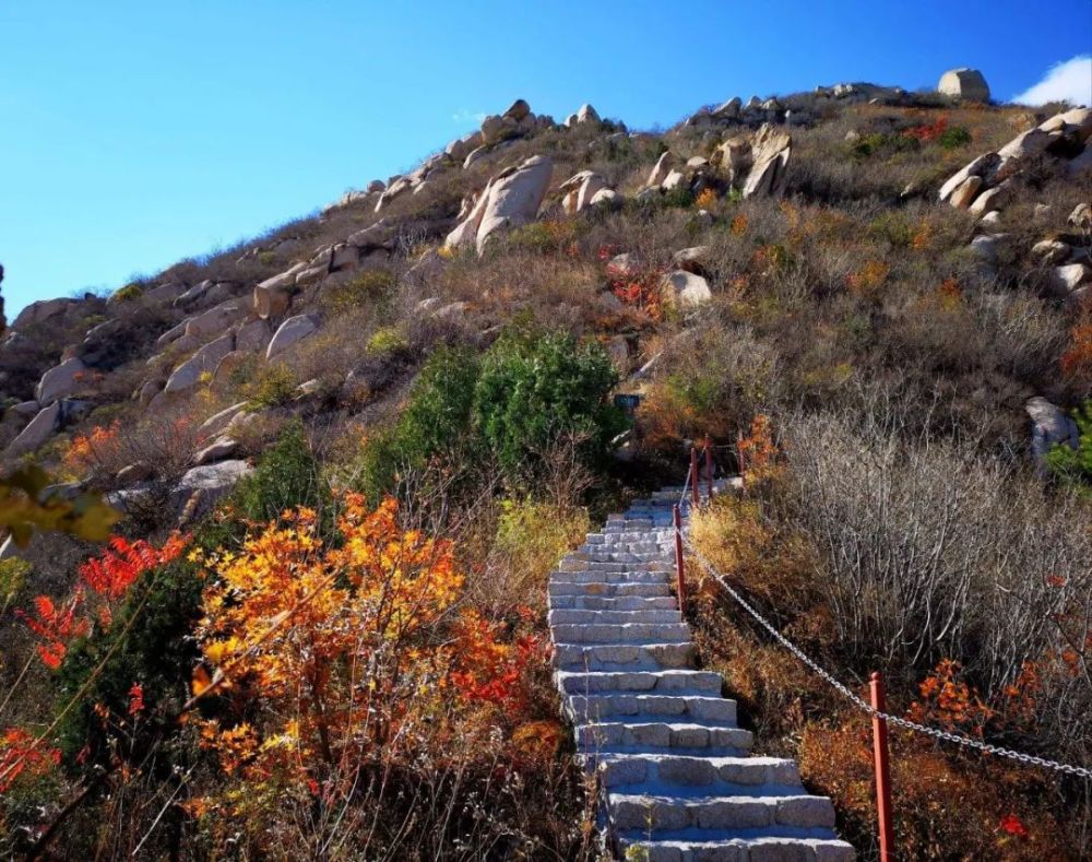 国庆有礼|《国庆有礼，健身有道》登上海淀凤凰岭俯瞰京城 令人心旷神怡