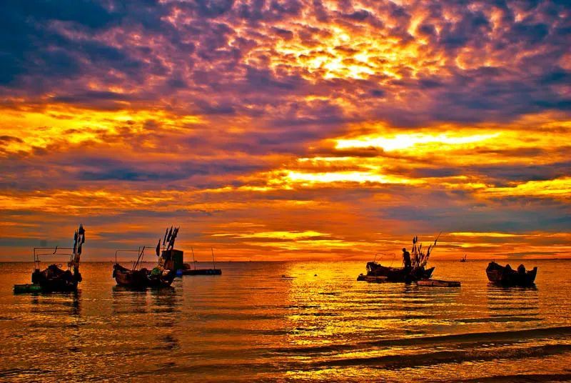 季羡林|季羡林：人生有四个道理，学会就是富贵