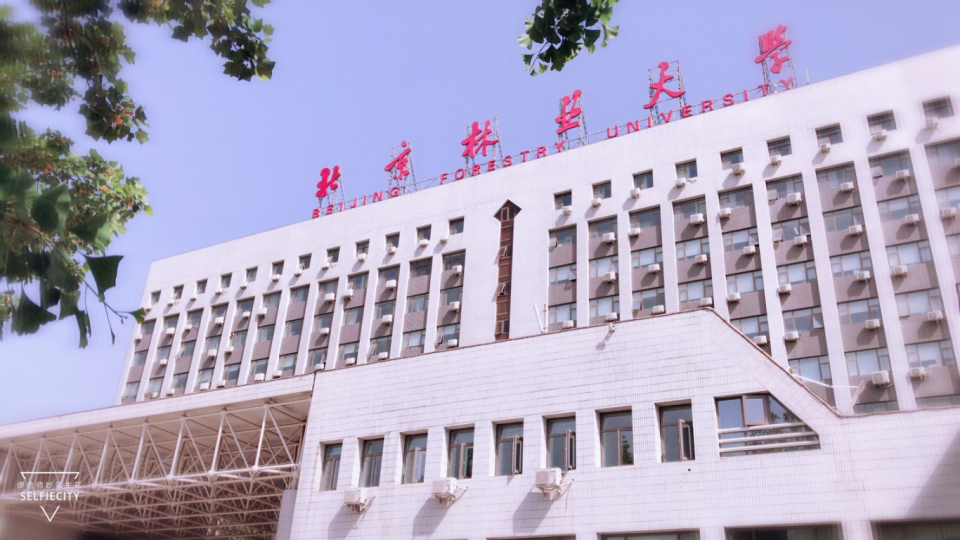 第二学士学位,近些年已经很少有学校招生了,很多大学生都没听说过这种