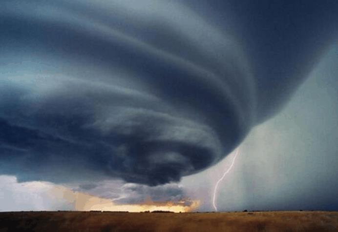 灭绝|人类对大自然的伤害有多大？研究表明，比大灭绝事件还严重8倍