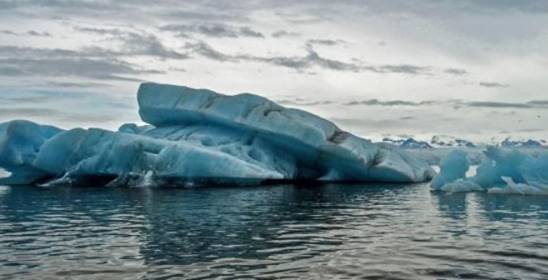 灭绝|人类对大自然的伤害有多大？研究表明，比大灭绝事件还严重8倍