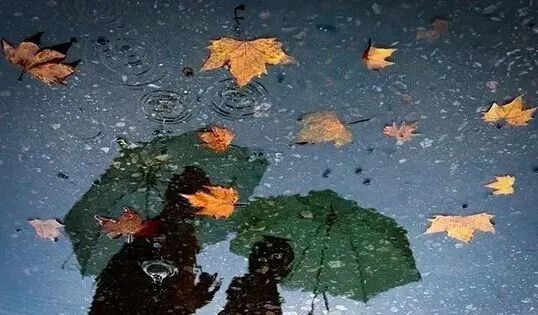 秋雨|10首秋雨诗词：一声梧叶一声秋