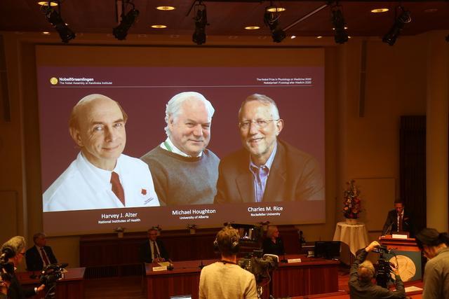 诺贝尔医学奖|2020年诺贝尔医学奖揭晓：他们凭什么获奖，就能拯救百万人的生命