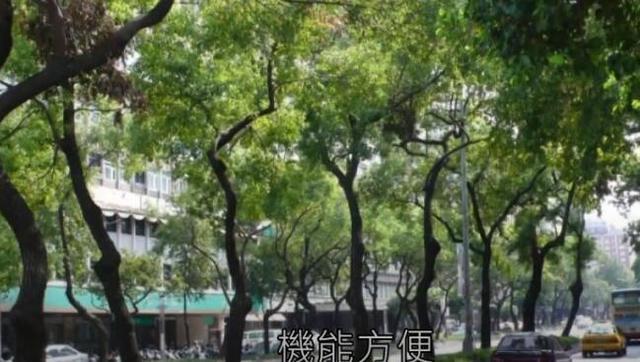 小海豚|林心如连晒三张与霍建华恩爱合照放闪，女儿小海豚带钻石手链出镜