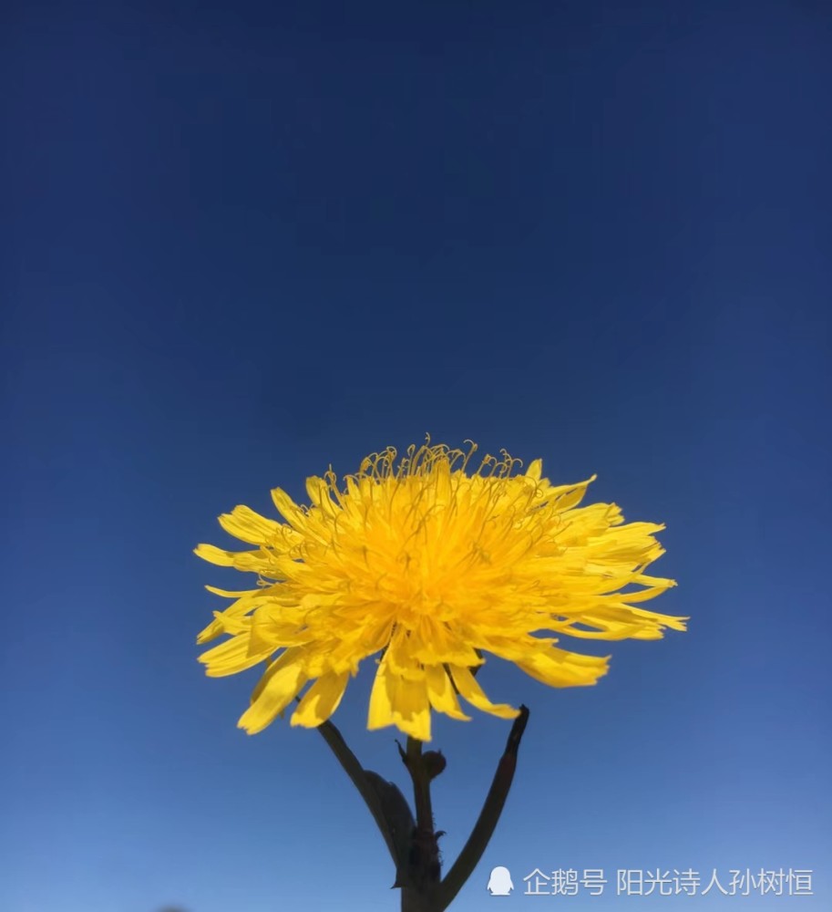 河流|秋天，想起故乡的河流