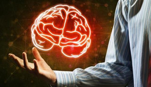 大脑|人类发展几百万年，为何大脑没有“升级”？我们这一代是尽头？